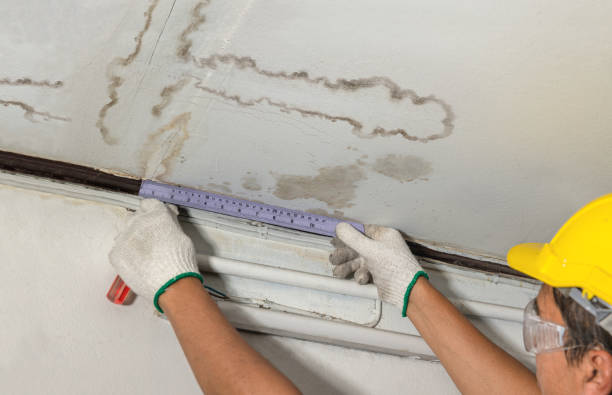 Reliable Burst Pipe Cleanup contractor in Loyal, WI by Water Damage Irwin